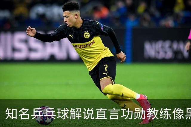 知名乒乓球解说直言功勋教练像黑粉，喊话吴敬平可以将不满说出来